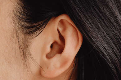 Les cellules ciliées de l’oreille interne : tout savoir